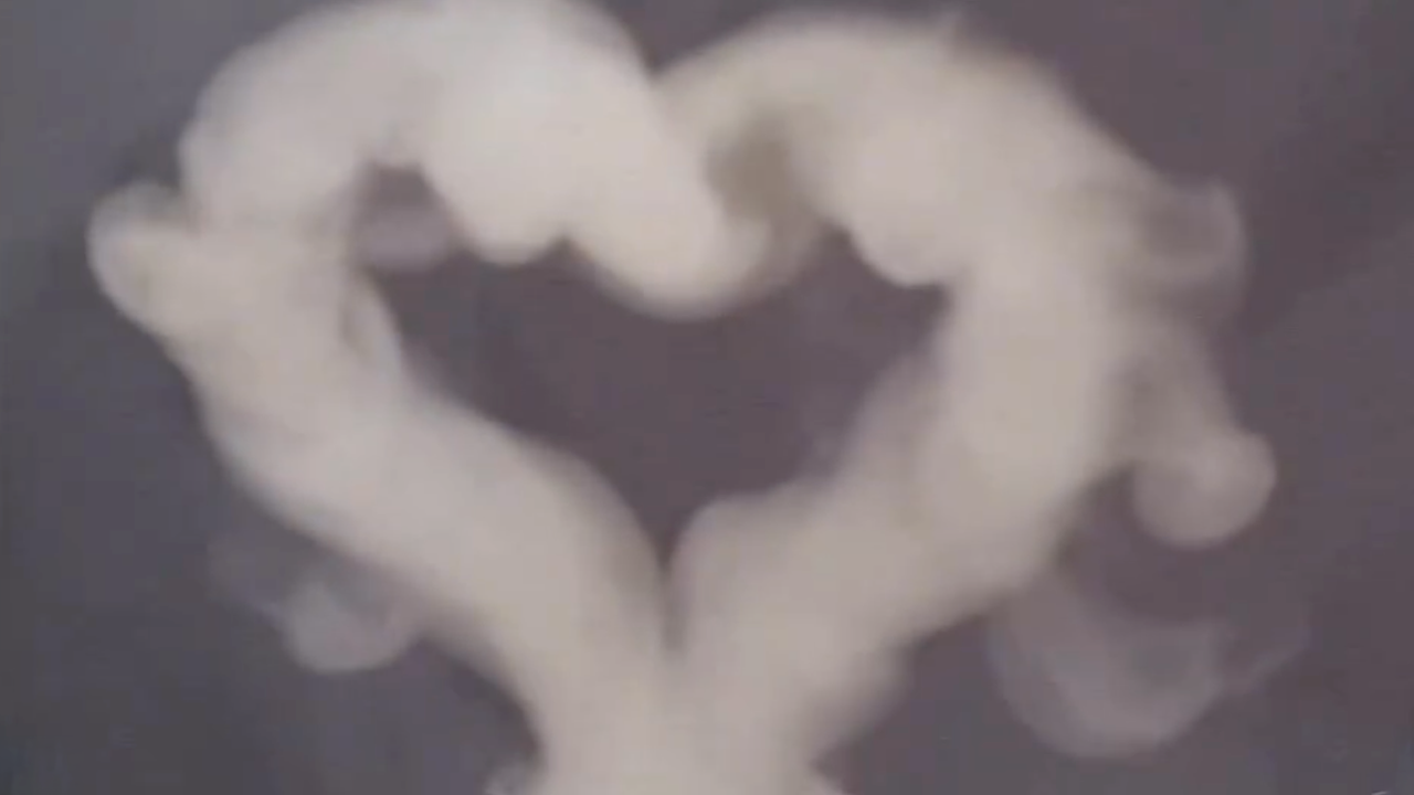 The Swan Bong — still