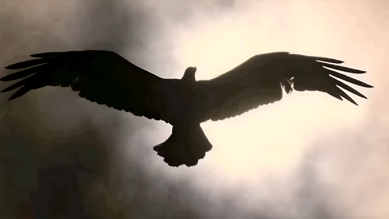 Ye — Vultures — still